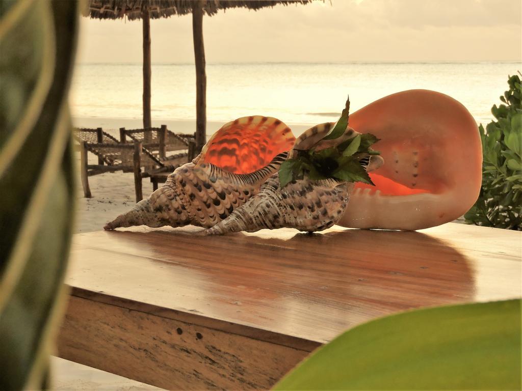 فندق Mchanga Zanzibar بواني ماكهانجاني المظهر الخارجي الصورة
